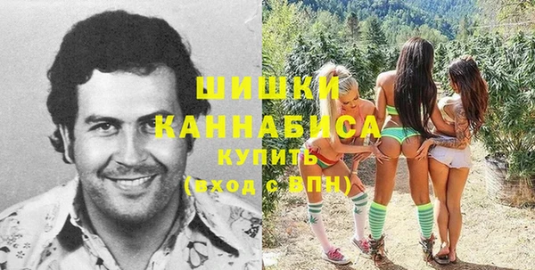 тгк Лиски
