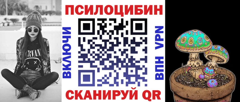 купить  сайты  Бежецк  Псилоцибиновые грибы прущие грибы 
